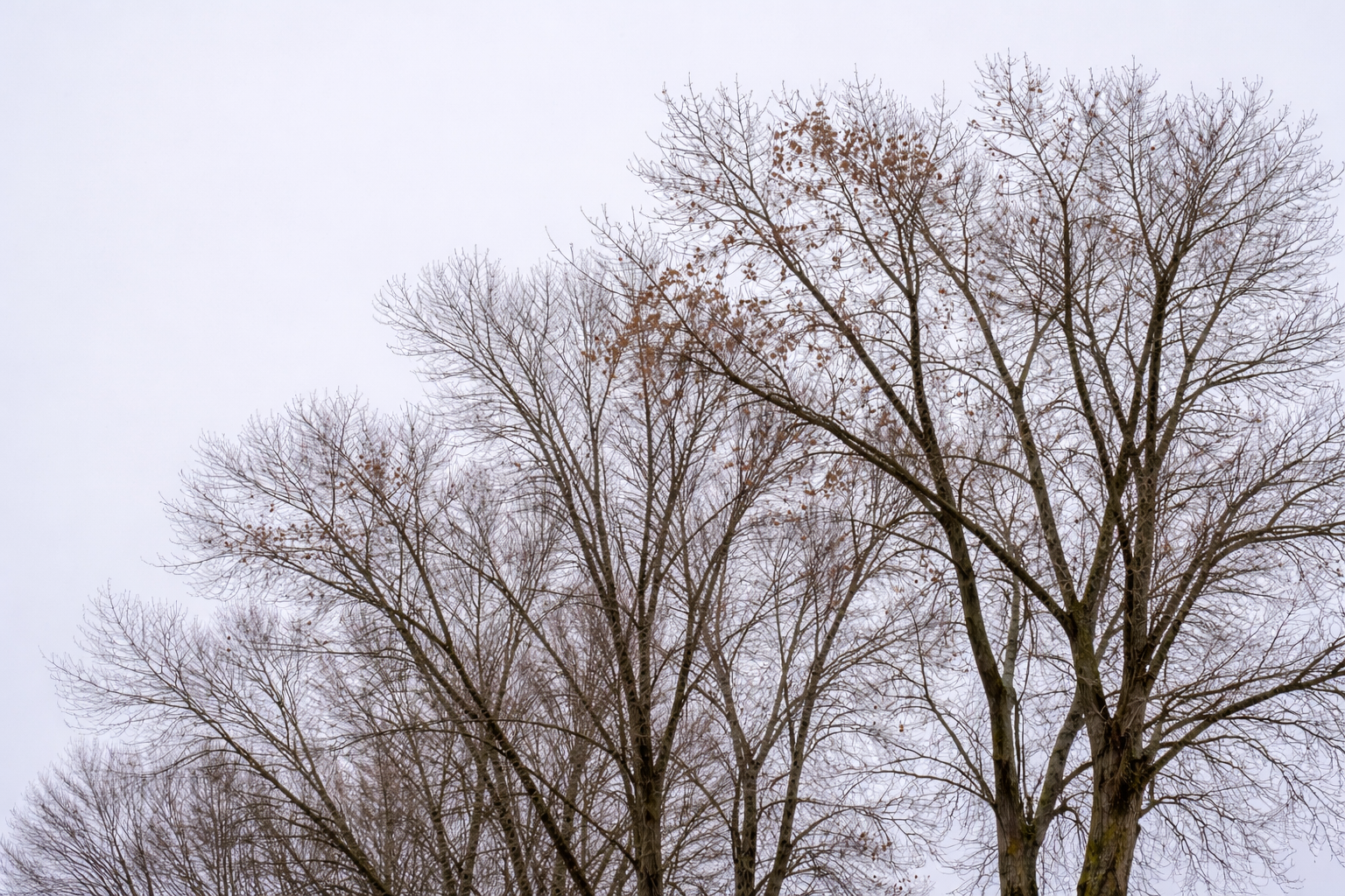 ChatGPT Image 26. jaan 2026, 09 27