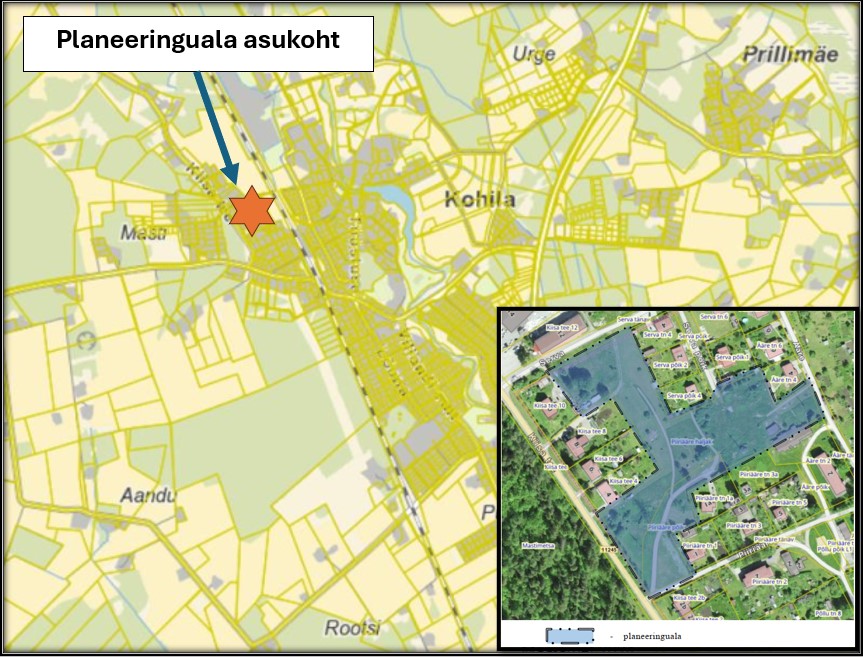 Kuvatõmmis 2024 11 19