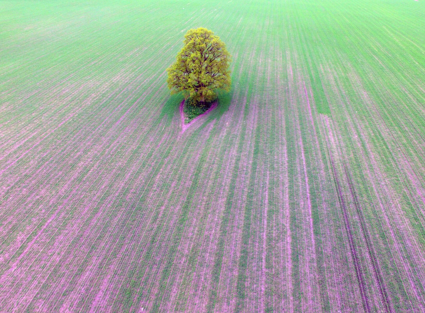 DCIM100MEDIADJI 0029.JPG