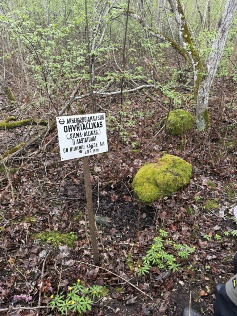 IMG 2389 (2)