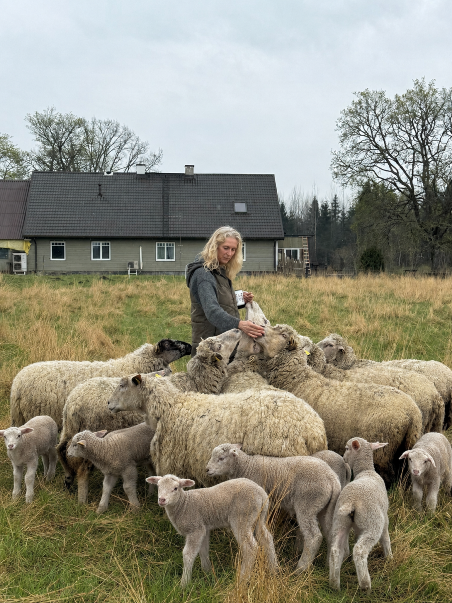 Lammastega